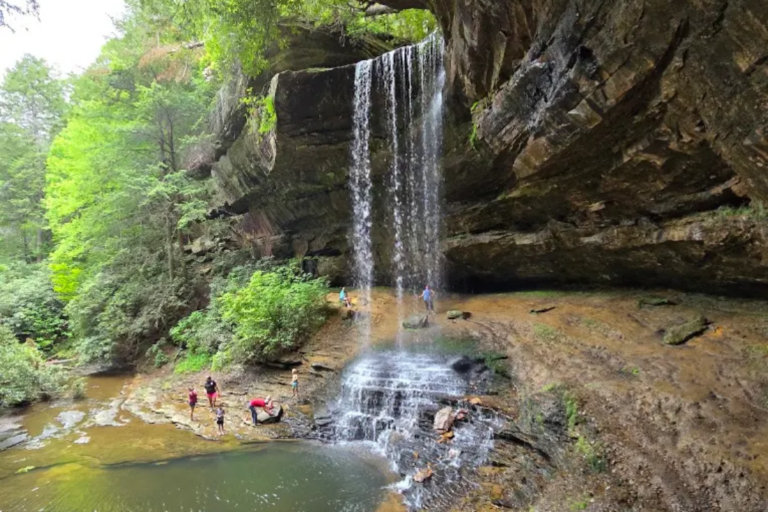 Tennessee’s Best-Kept Summer Secret Is This Cool Forest Trail To A Hidden Waterfall