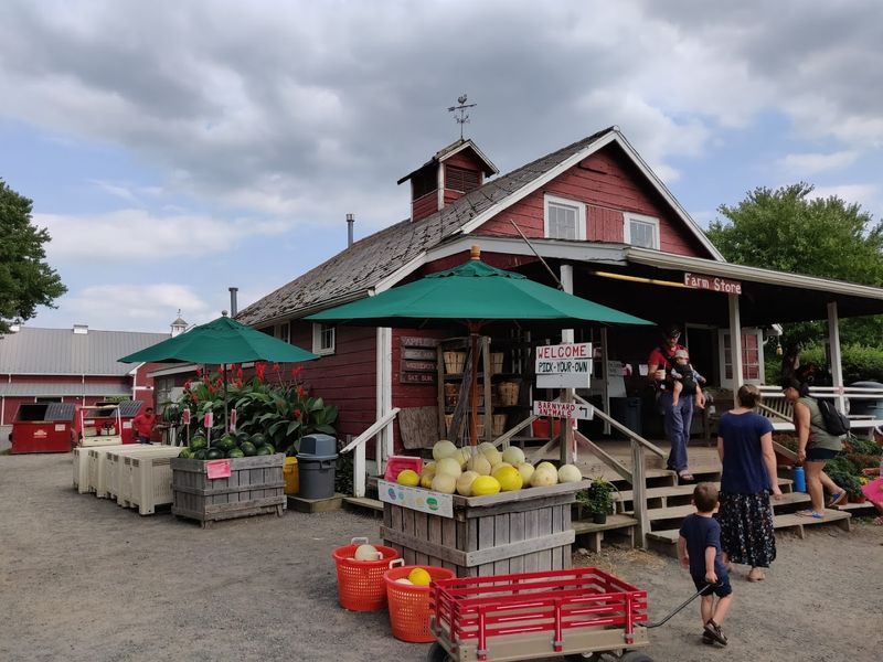 Terhune Orchards - Princeton