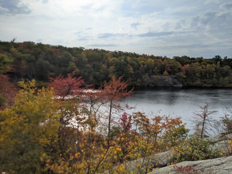 Terrace Pond Loop - Wawayanda State Park Terrace Pond Loop - Wawayanda State Park