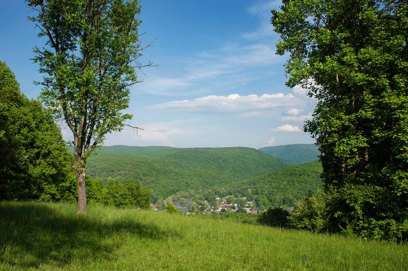Tharp Knob Loop, Ohiopyle State Park, Ohiopyle, Pennsylvania