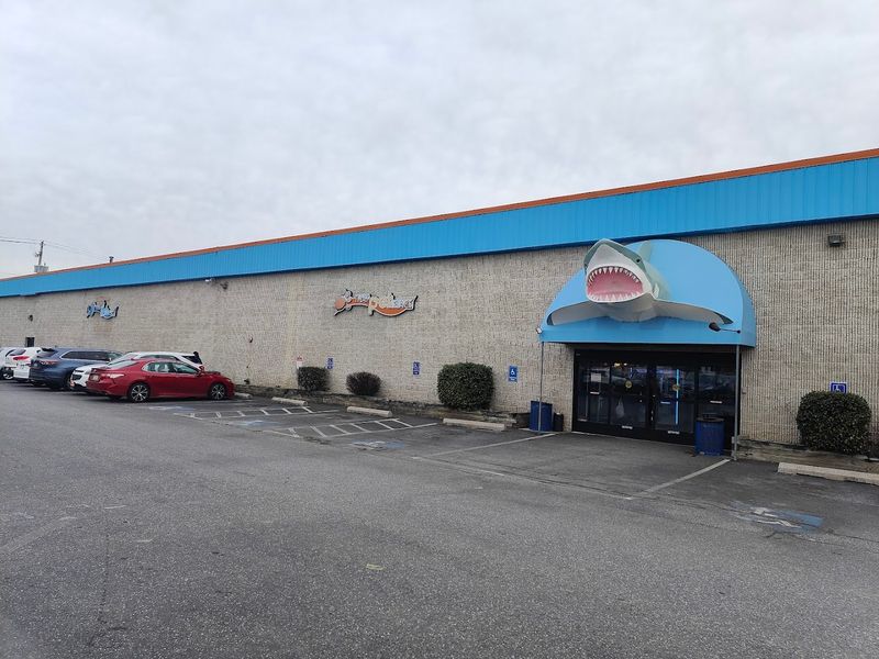 That Fish Place – That Pet Place Aquarium Gallery That Fish Place – That Pet Place Aquarium Gallery