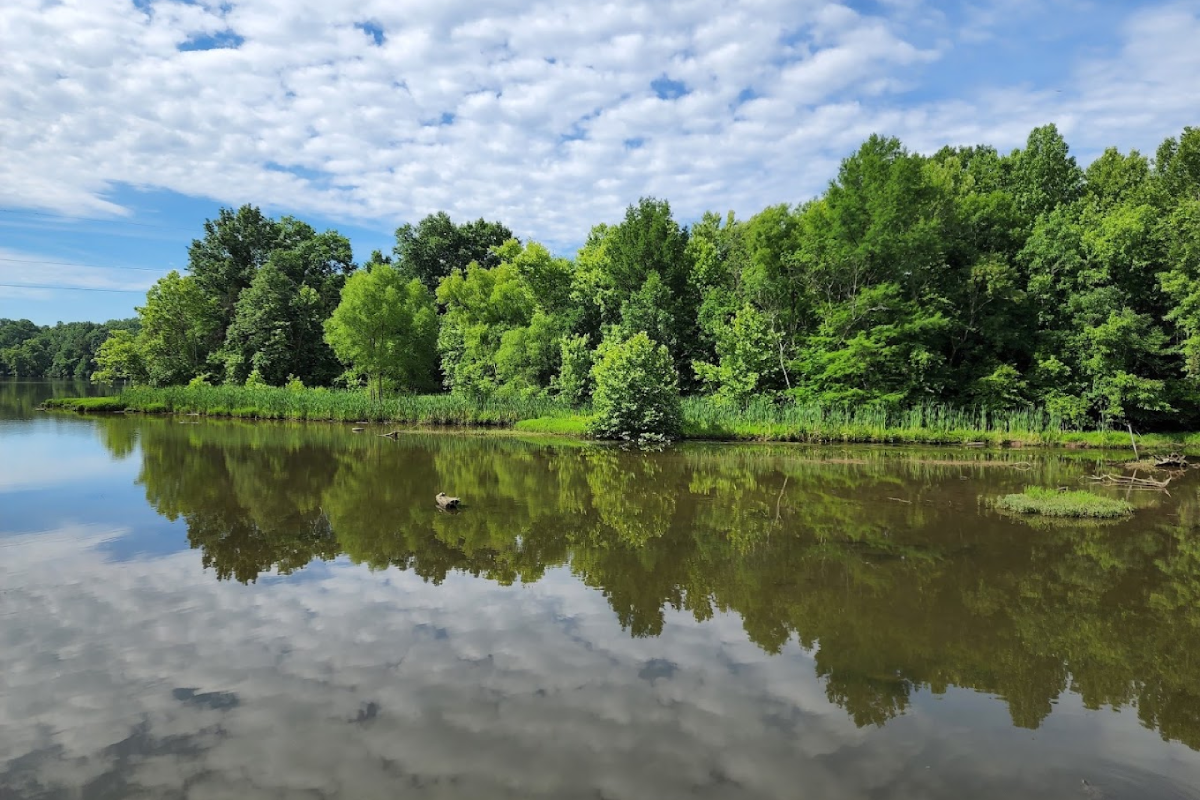 The 10 Best Tennessee State Parks for an Unforgettable Camping Getaway