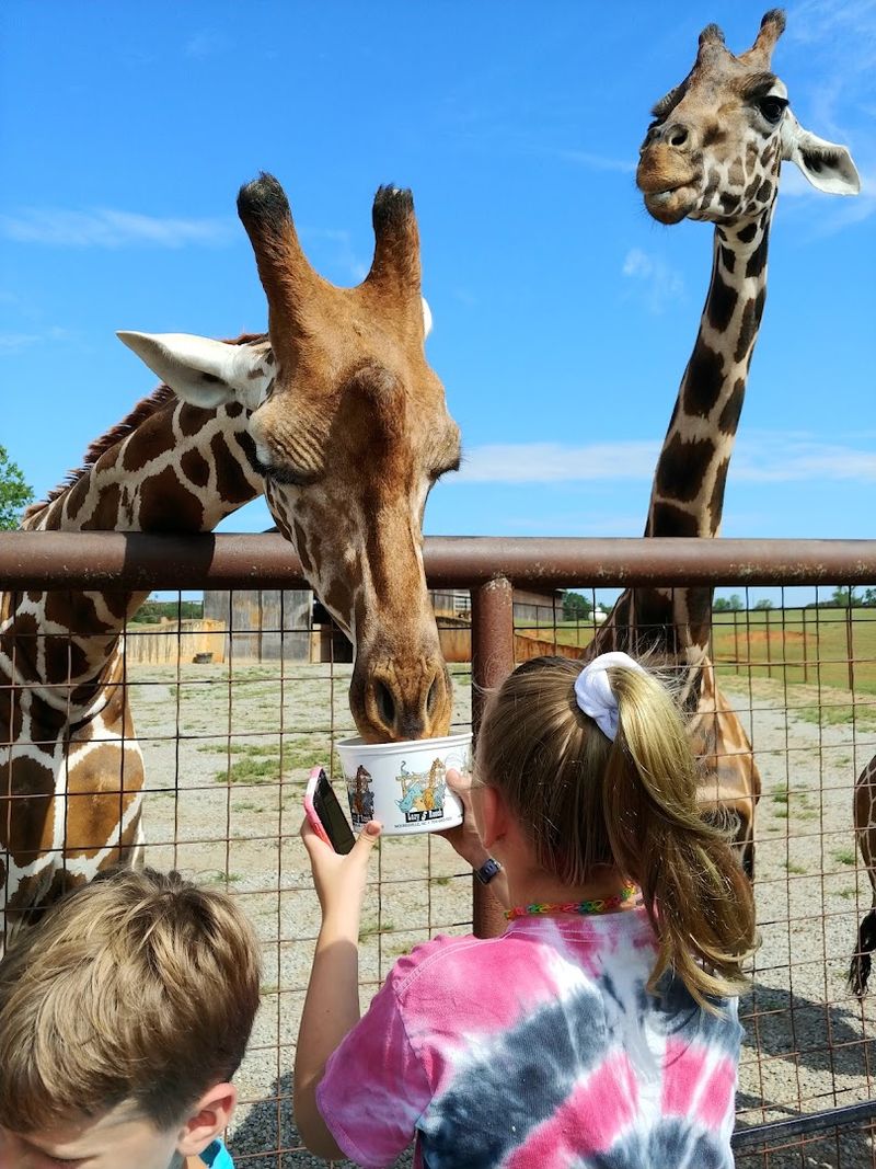 The Animal Encounters Are Up Close and Unforgettable
