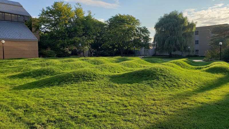 The Art Behind the Waves: Maya Lin's Earth Sculpture The Art Behind the Waves: Maya Lin's Earth Sculpture