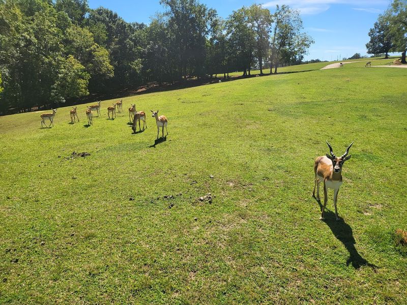 The Atmosphere Is Relaxed, Rural, and Full of Personality