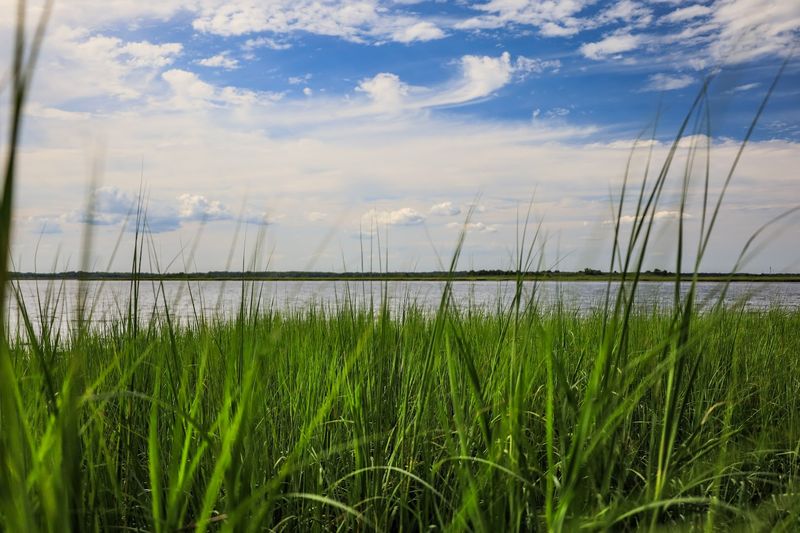 The Back Bay Opens the Door to Kayaking and Wildlife Watching The Back Bay Opens the Door to Kayaking and Wildlife Watching