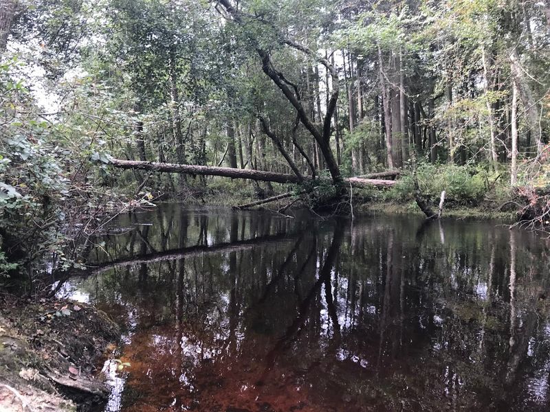 The Batsto River gives the whole place its quiet magic The Batsto River gives the whole place its quiet magic