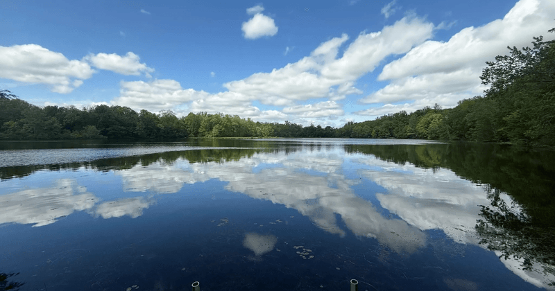 The Beauty of Quiet Water The Beauty of Quiet Water
