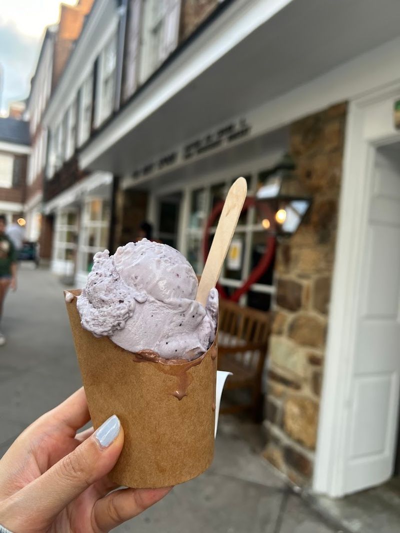 The Bent Spoon — Princeton The Bent Spoon — Princeton