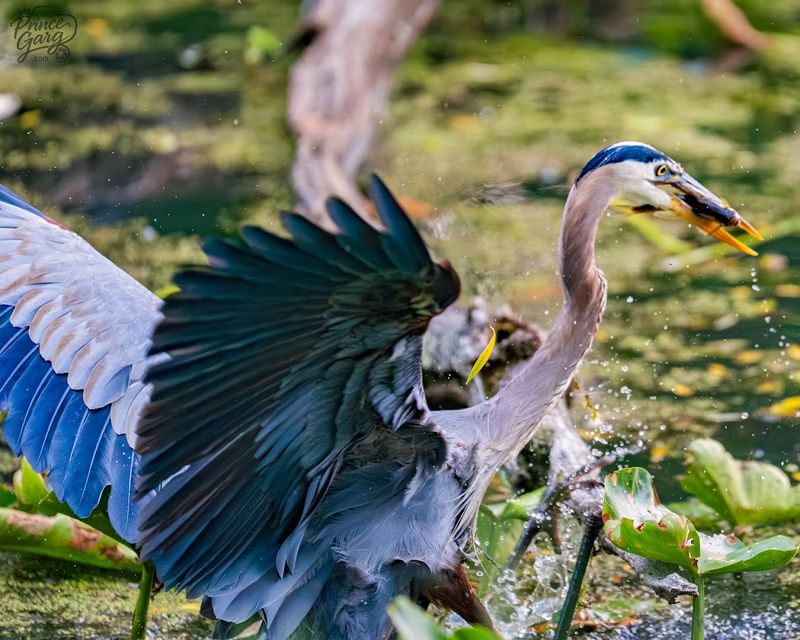 The Best Wildlife You Might Spot The Best Wildlife You Might Spot