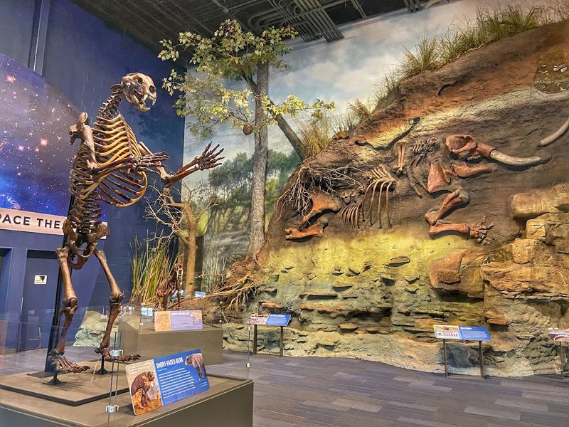 The Bieser Room of Wonder lives up to its name