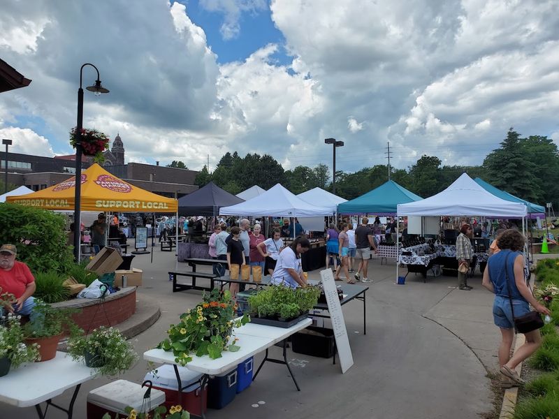 The Blueberry Cook-Off and Contest Culture That Steals the Show