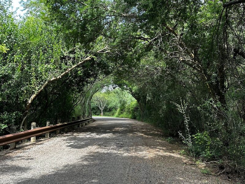The Car-Free Advantage Changes Everything The Car-Free Advantage Changes Everything
