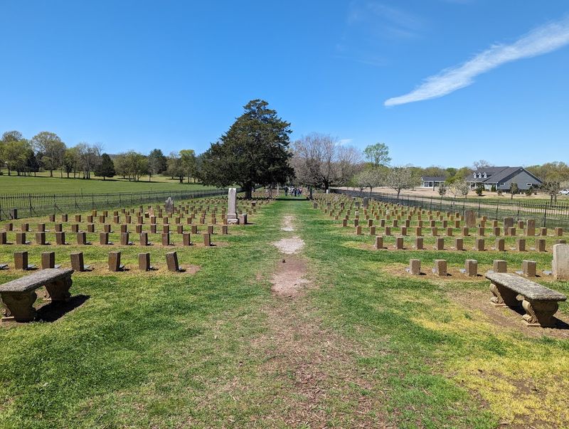 The Cemetery Makes the History Feel Impossible to Ignore The Cemetery Makes the History Feel Impossible to Ignore