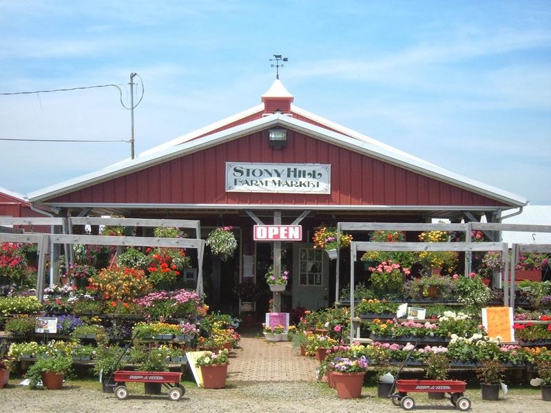 The Chester Farm That Grew From a Basement Flower Business Into 500 Acres