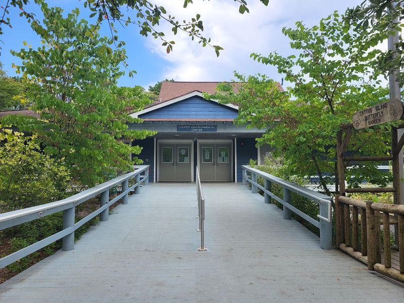 The Cooper Environmental Center Brings the Barnegat Bay Ecosystem Indoors The Cooper Environmental Center Brings the Barnegat Bay Ecosystem Indoors