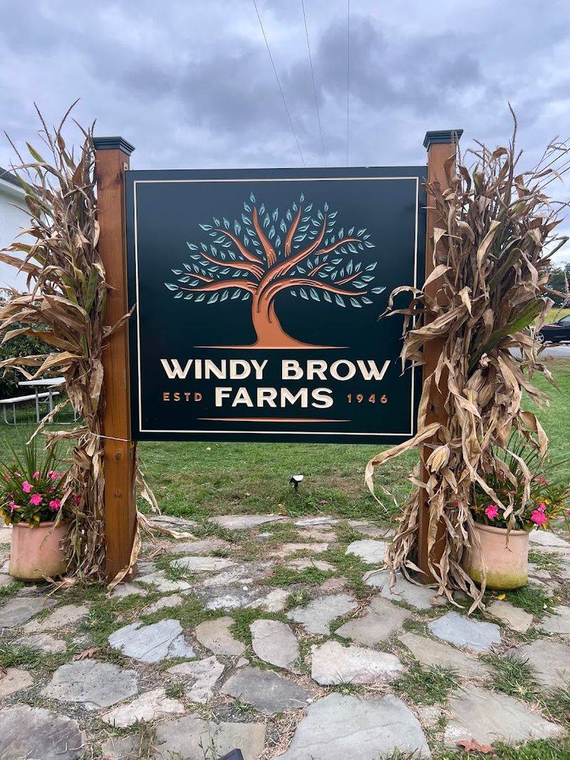 The Cow’s Brow Creamery Where Local Ingredients Become Unexpected Ice Cream Flavors