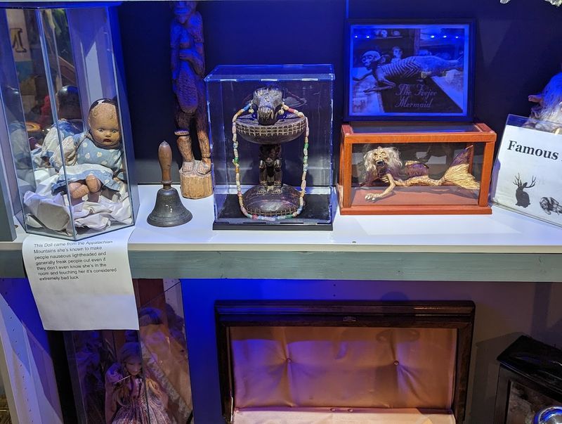 The Cryptozoology & Paranormal Museum The Cryptozoology & Paranormal Museum