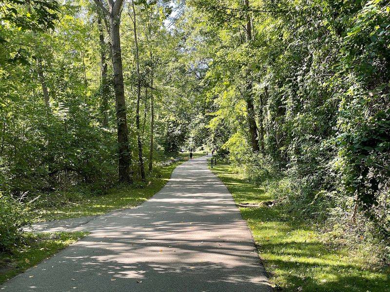 The Dog Park and Pet-Friendly Trails That Keep Tails Wagging The Dog Park and Pet-Friendly Trails That Keep Tails Wagging