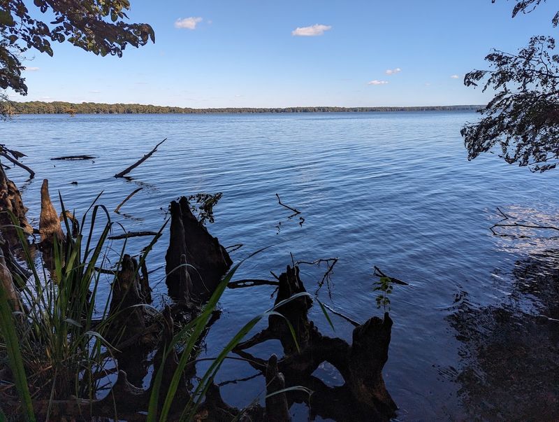 The Earthquakes That Created Reelfoot Lake The Earthquakes That Created Reelfoot Lake