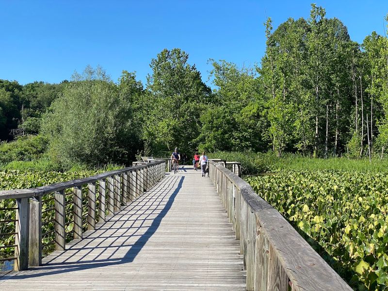 The Easy Walk To The Boardwalk The Easy Walk To The Boardwalk