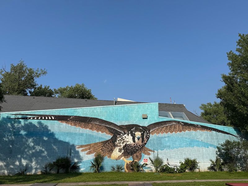 The Environmental Discovery Center Brings Nature to Life