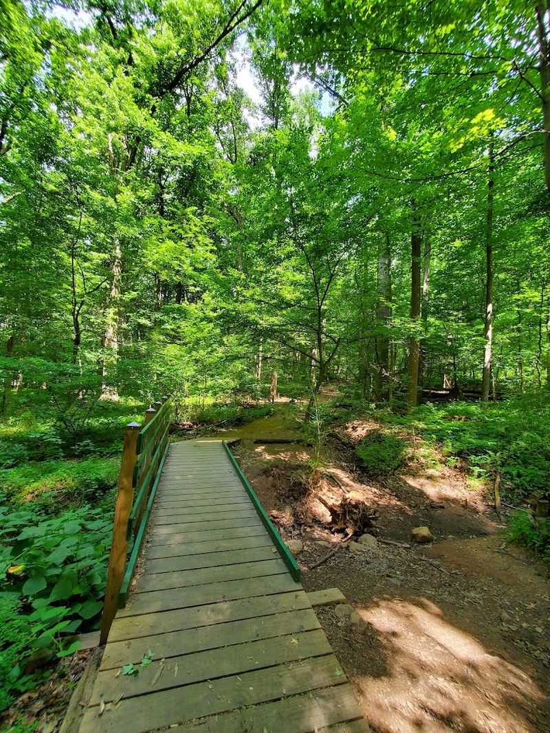 The Fairy Trail Gives Younger Hikers a Magical Reason to Keep Exploring The Fairy Trail Gives Younger Hikers a Magical Reason to Keep Exploring