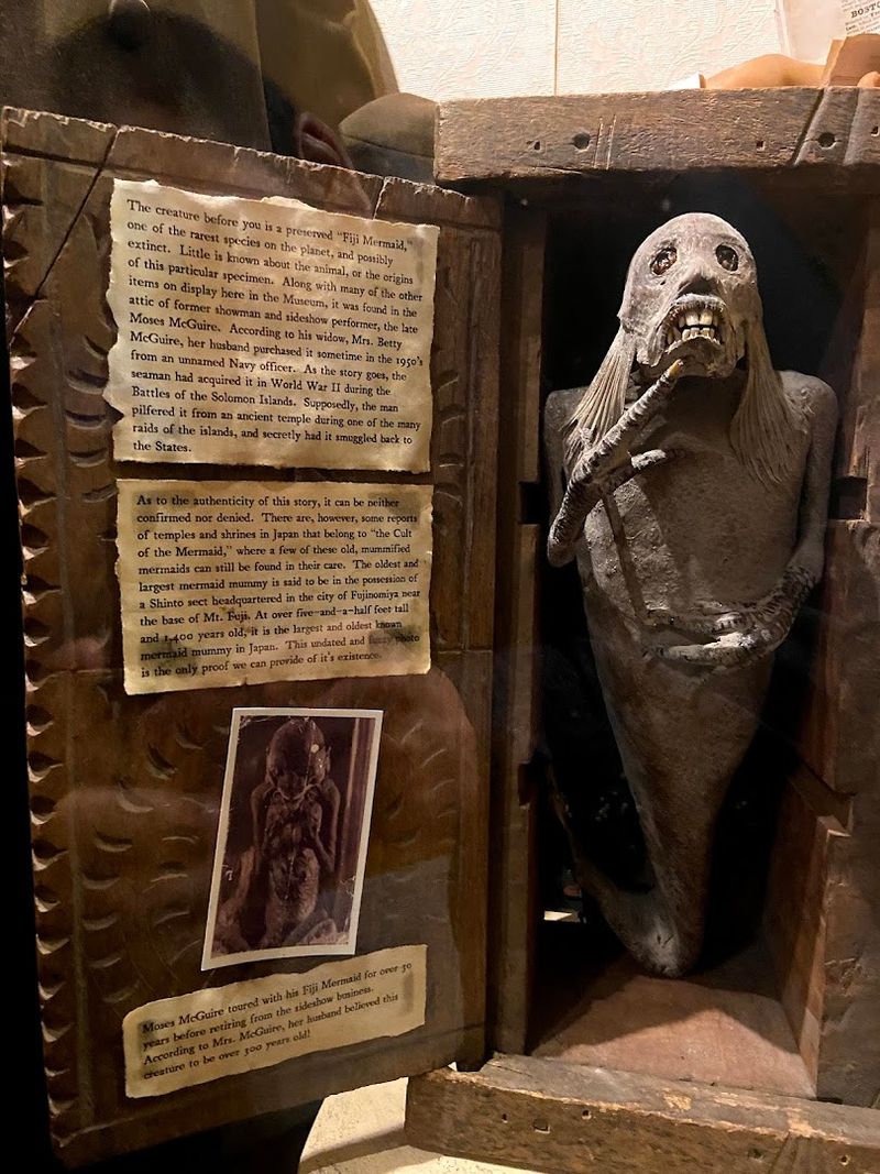 The Fiji Mermaid The Fiji Mermaid
