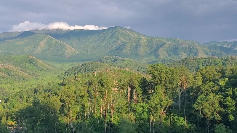 The Great Smoky Mountains Look Beautiful in Every Season