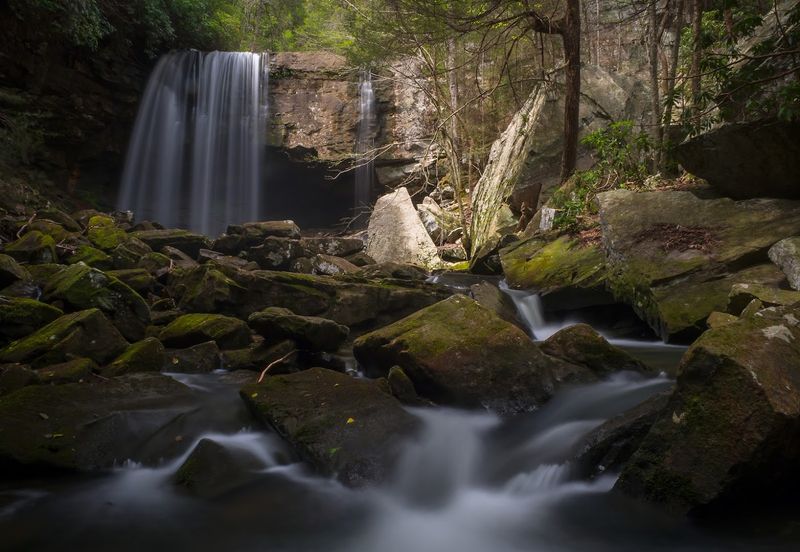 The Gruetli-Laager Trail Leads Into A Shady, Rocky Gorge The Gruetli-Laager Trail Leads Into A Shady, Rocky Gorge