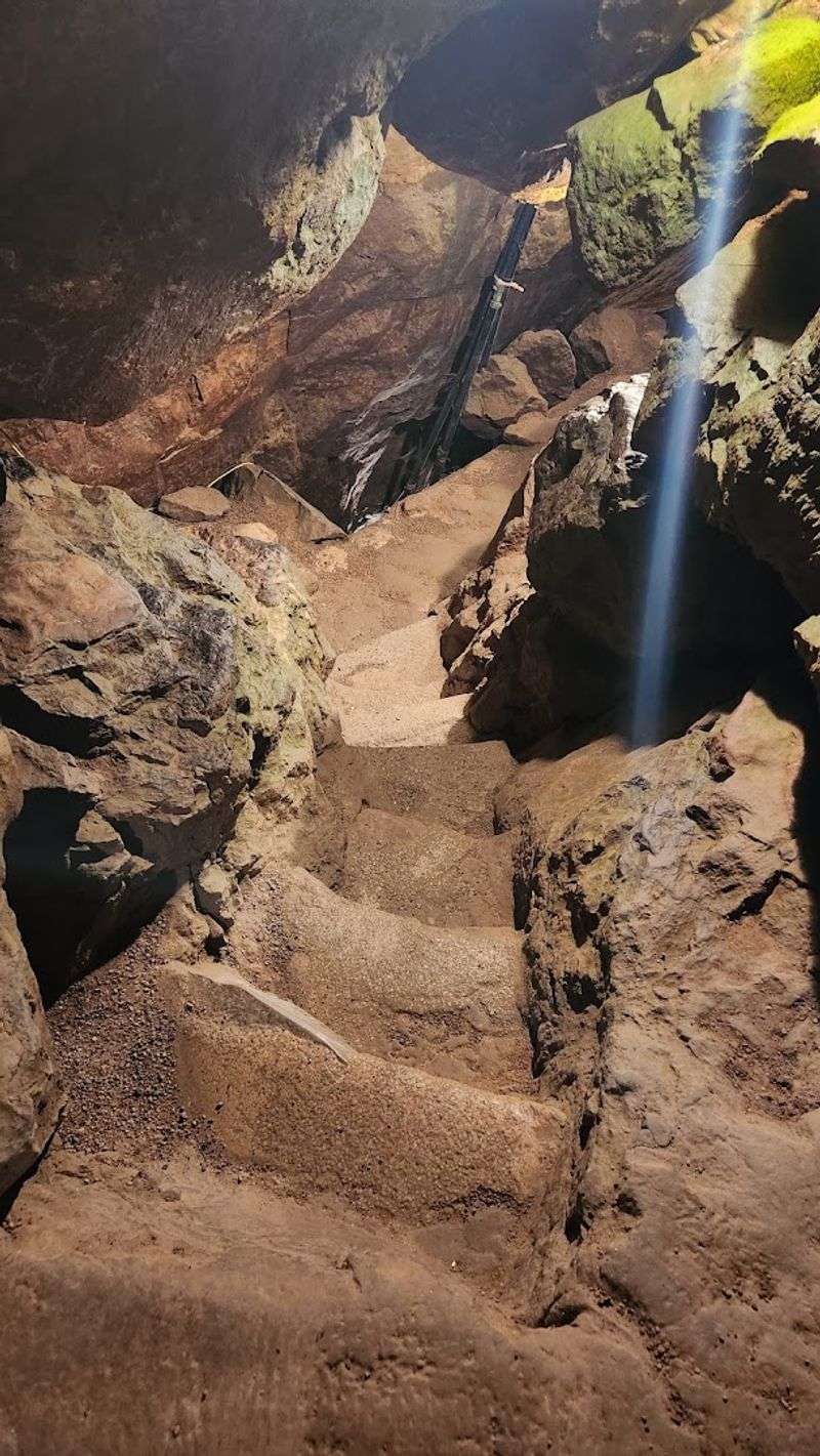 The Guided Tour Is The Real Highlight