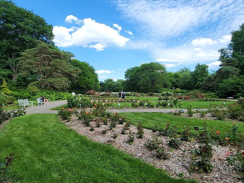 The Herb Garden Brings A Different Kind Of Beauty