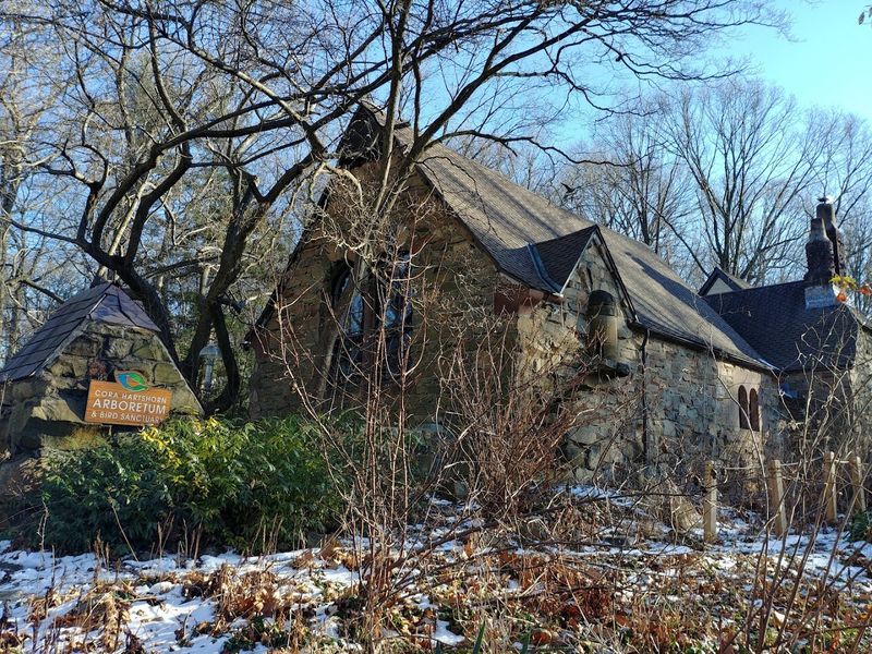 The Historic Stone House Brings Local Nature and Conservation Indoors The Historic Stone House Brings Local Nature and Conservation Indoors