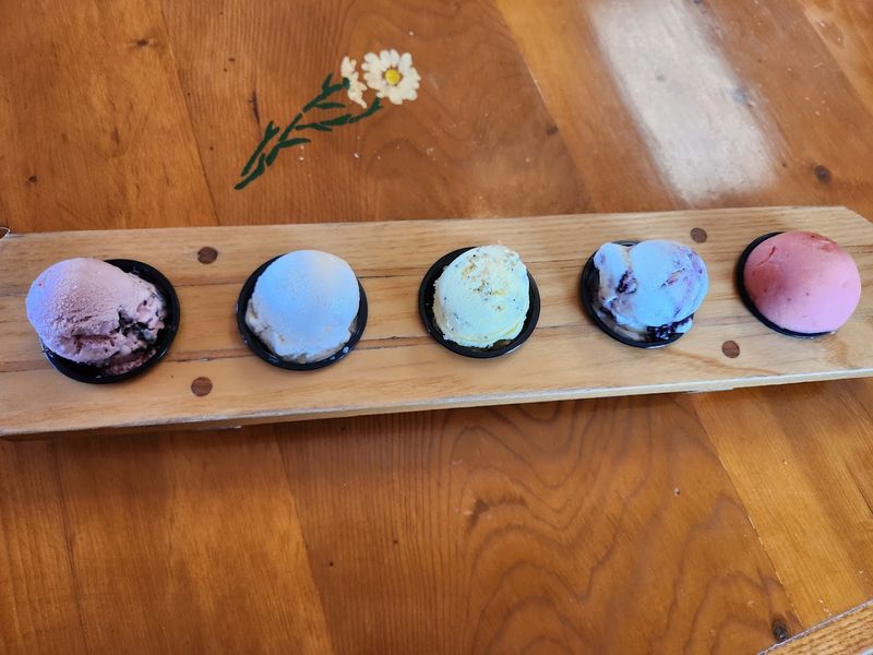 The Ice Cream Flight — Five Scoops, Zero Regrets