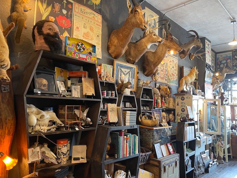 The Kind Of Place People Return To Again And Again The Kind Of Place People Return To Again And Again