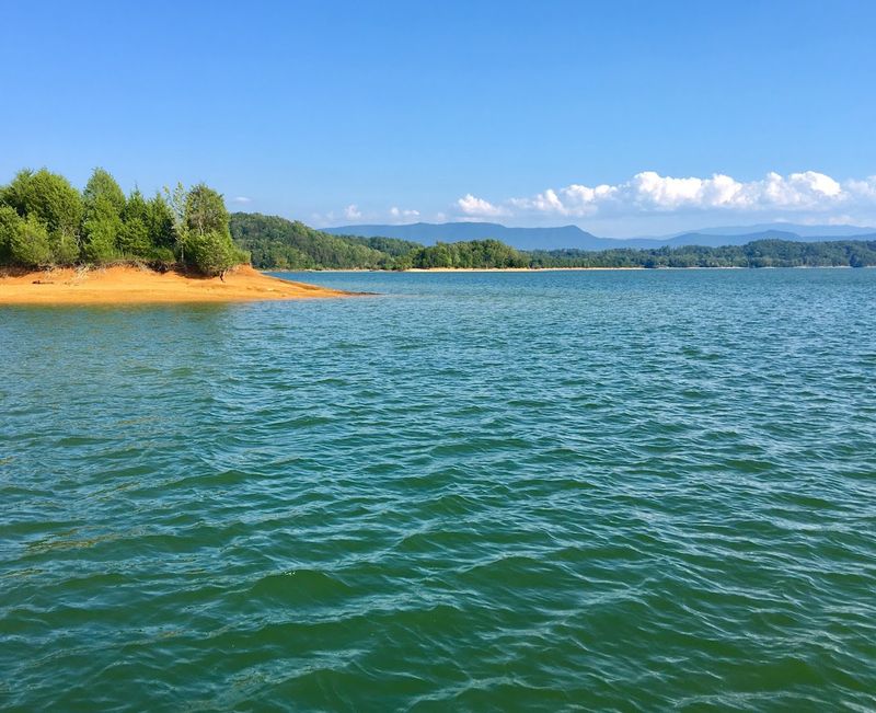 The Lake Views That Make Dandridge Feel Instantly Relaxing The Lake Views That Make Dandridge Feel Instantly Relaxing