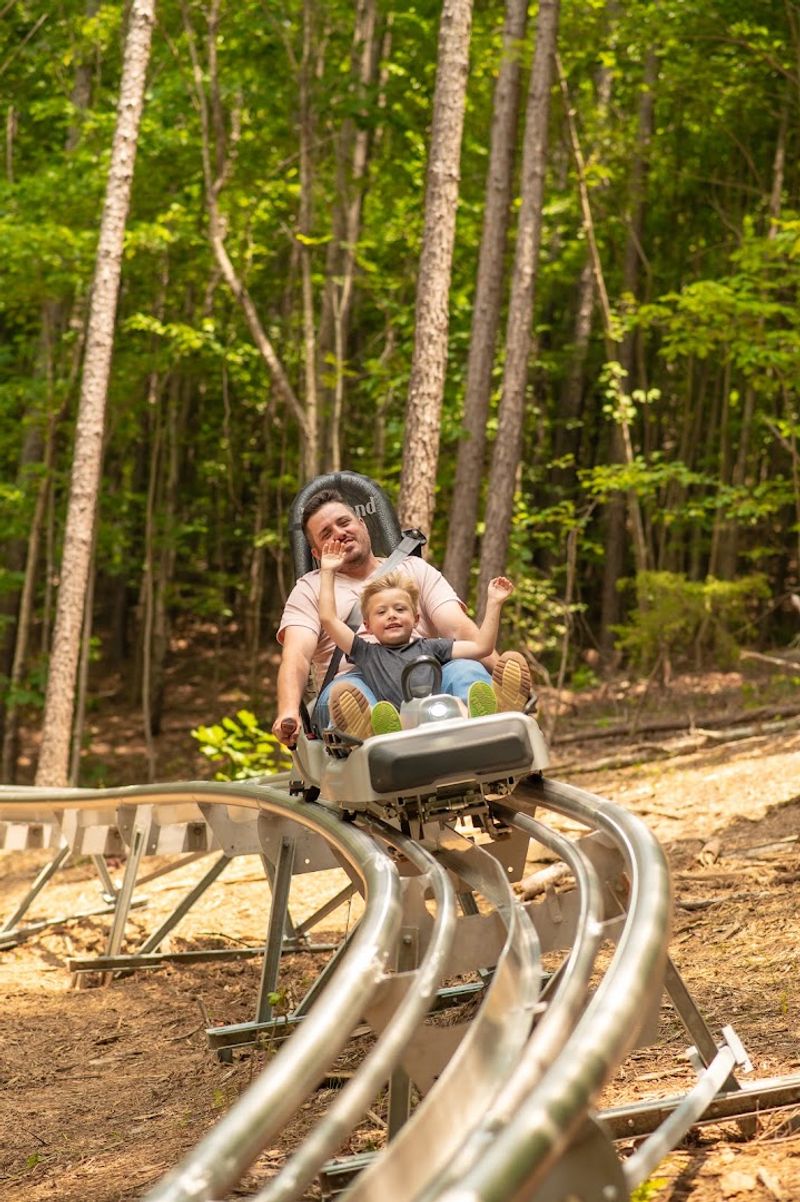 The Mountain Coaster Adds a Thrill The Mountain Coaster Adds a Thrill