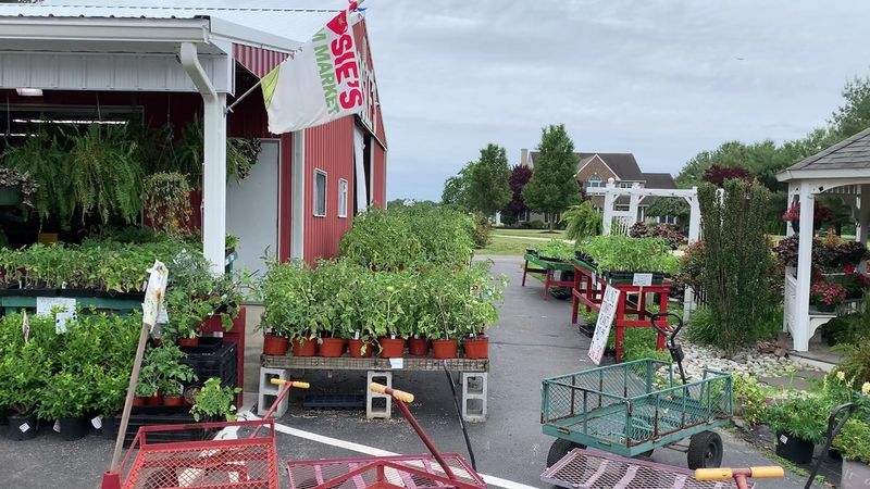 The Mullica Hill Farm Stand That Began Beneath a Cherry Tree in 1961 The Mullica Hill Farm Stand That Began Beneath a Cherry Tree in 1961
