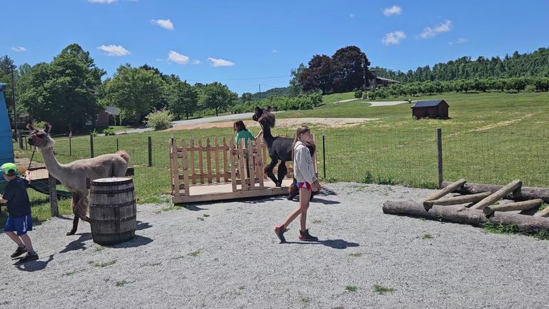 The Obstacle Course and Creek Walk Sound Like the Highlight The Obstacle Course and Creek Walk Sound Like the Highlight