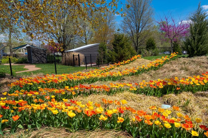 The Outdoor Gardens Are Worth Your Time The Outdoor Gardens Are Worth Your Time