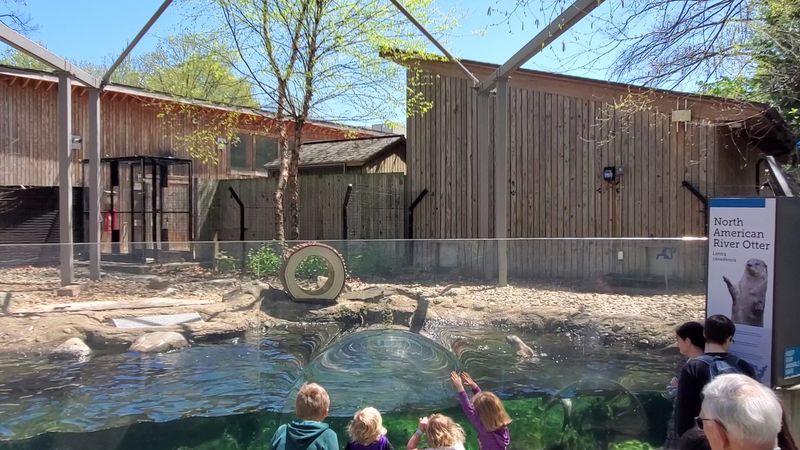 The Outdoor Wildlife Area Is A Hidden Bonus The Outdoor Wildlife Area Is A Hidden Bonus