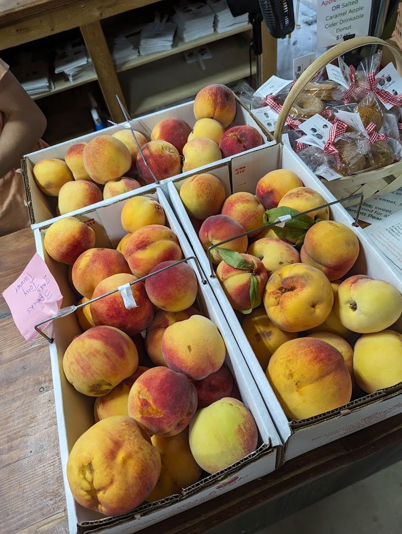 The Peaches Are Fresh, Fragrant, And Worth The Drive The Peaches Are Fresh, Fragrant, And Worth The Drive