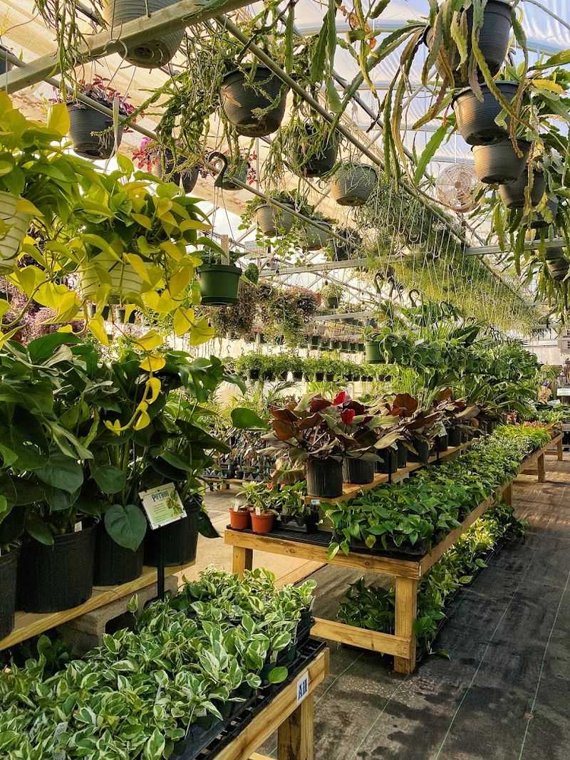 The Plant Selection Is Wildly Impressive