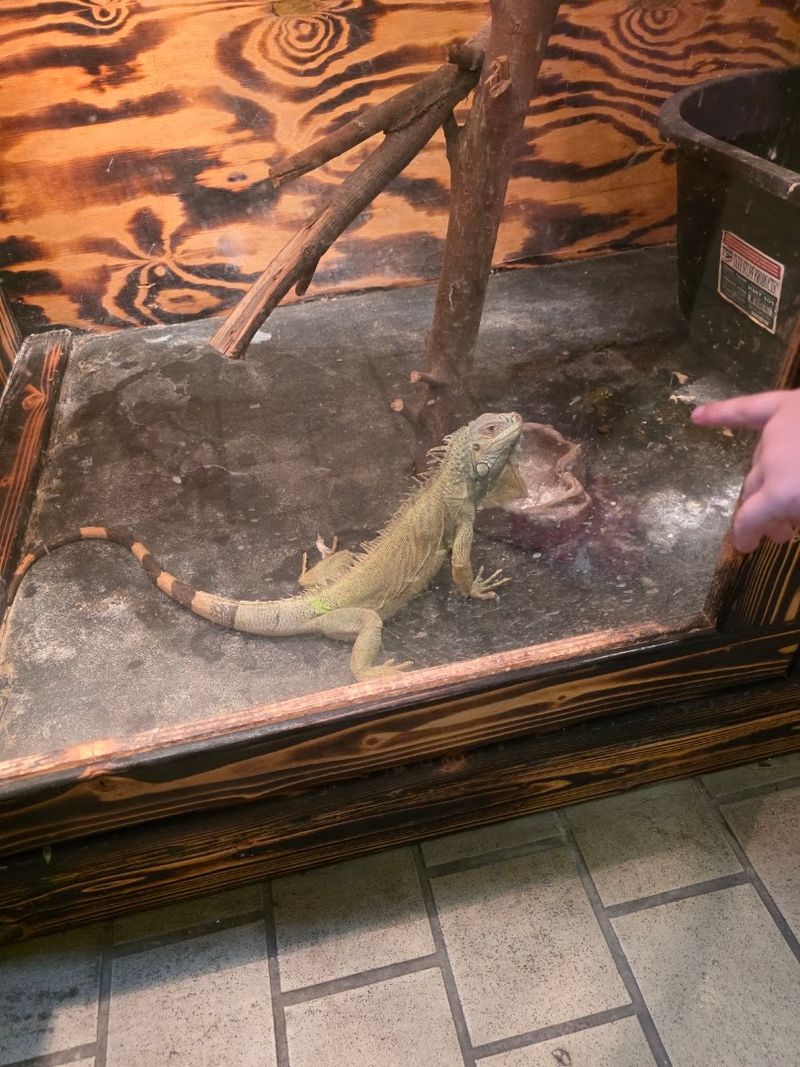 The Reptile House Delivers Hands-On Magic The Reptile House Delivers Hands-On Magic