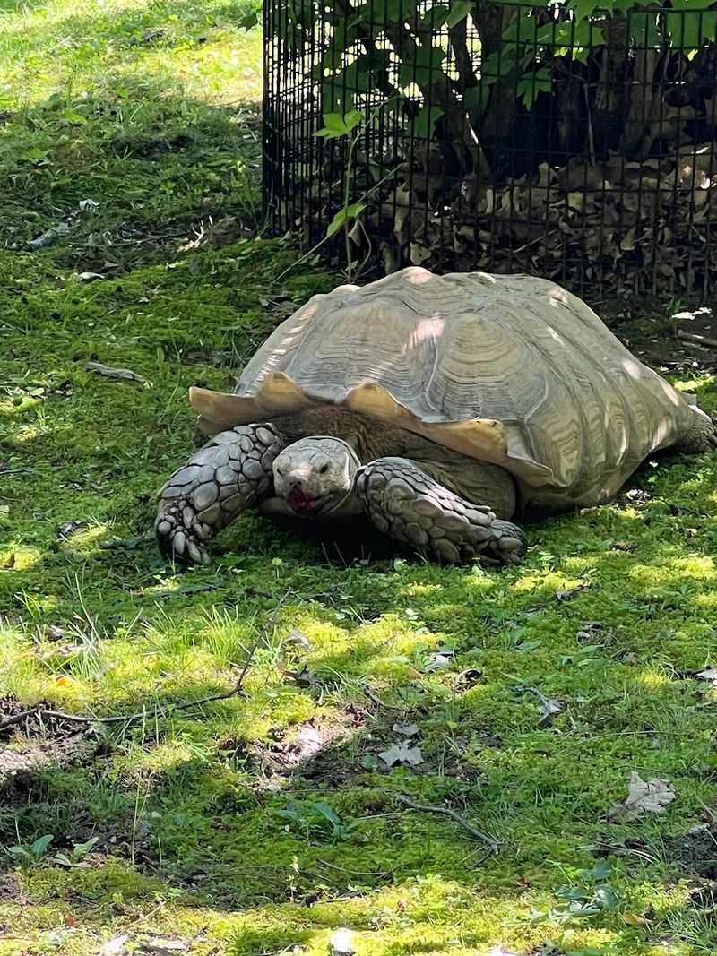 The Reptile House: Michigan's Most Underrated Exhibit The Reptile House: Michigan's Most Underrated Exhibit