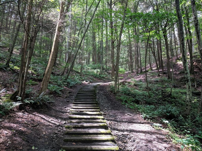 The Rim Trail gives you a different kind of beauty
