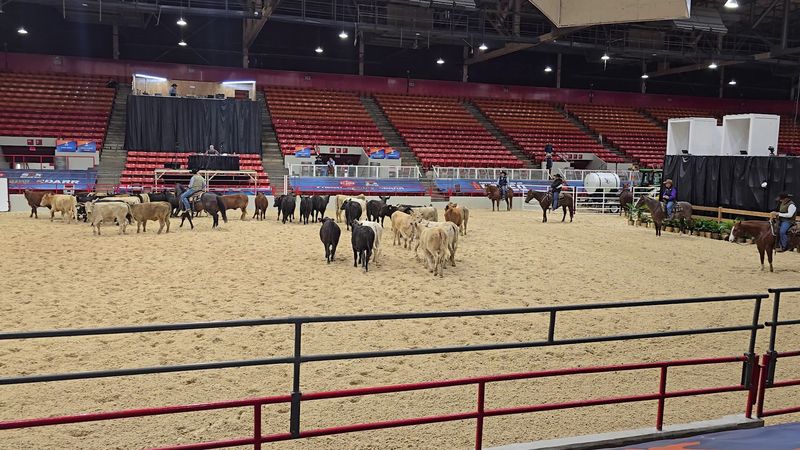 The Rodeo Is a Major Social Season The Rodeo Is a Major Social Season