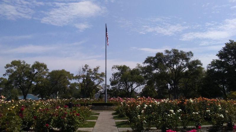 The Rose Garden Adds Unexpected Beauty The Rose Garden Adds Unexpected Beauty