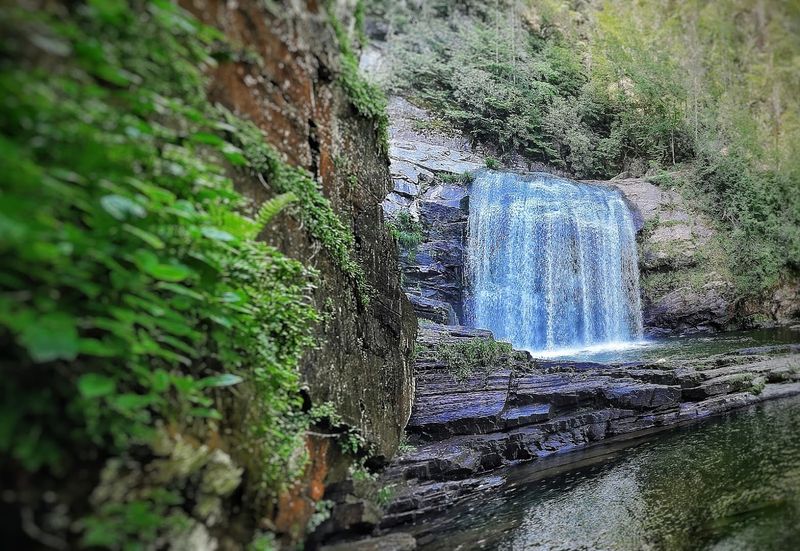 The Rugged Trail That Leads to the Falls