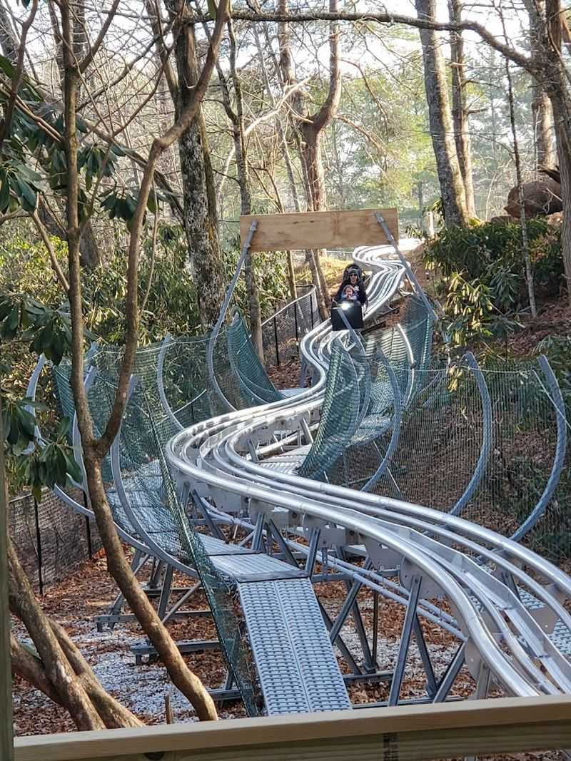 The Scaly Mountain Screamer Adds Another Layer of Fun